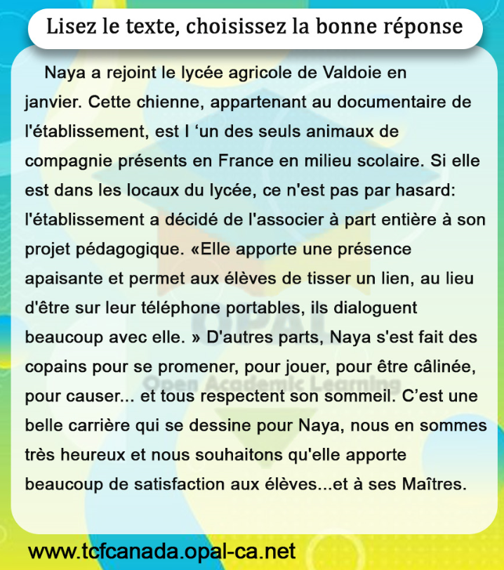 Lisez le texte, choisissez la bonne réponse
Naya a rejoint le lycée agricole de Valdoie en janvier. Cette chienne, appartenant au documentaire de I'établissement, est I 'un des seuls animaux de compagnie présents en France en milieu scolaire. Si elle est dans les locaux du lycée, ce n'est pas par hasard: l'établissement a décidé de l'associer à part entière à son projet pédagogique. «Elle apporte une présence apaisante et permet aux élèves de tisser un lien, au lieu d'être sur leur téléphone portables, ils dialoguent beaucoup avec elle. » D'autres parts, Naya s'est fait des copains pour se promener, pour jouer, pour être câlinée, pour causer... et tous respectent son sommeil. C'est une belle carrière qui se dessine pour Naya, nous en sommes très heureux et nous souhaitons qu'elle apporte beaucoup de satisfaction aux élèves...et à ses Maîtres.
www.tcfcanada.opal-ca.net